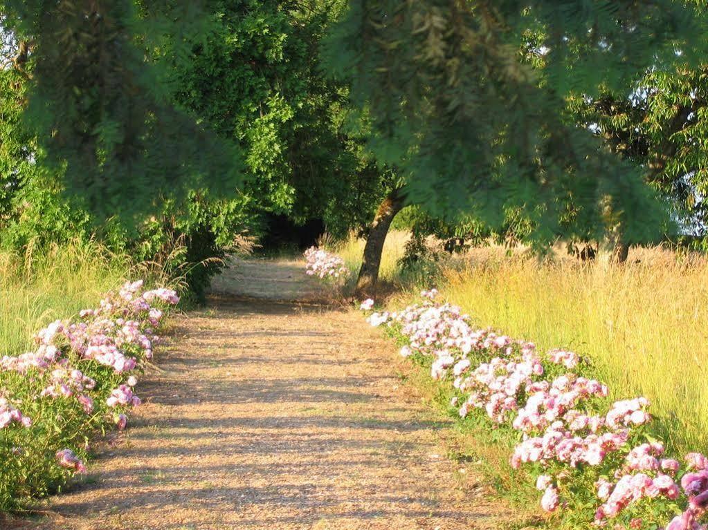 Chateau De La Rue Bed & Breakfast Cour-sur-Loire