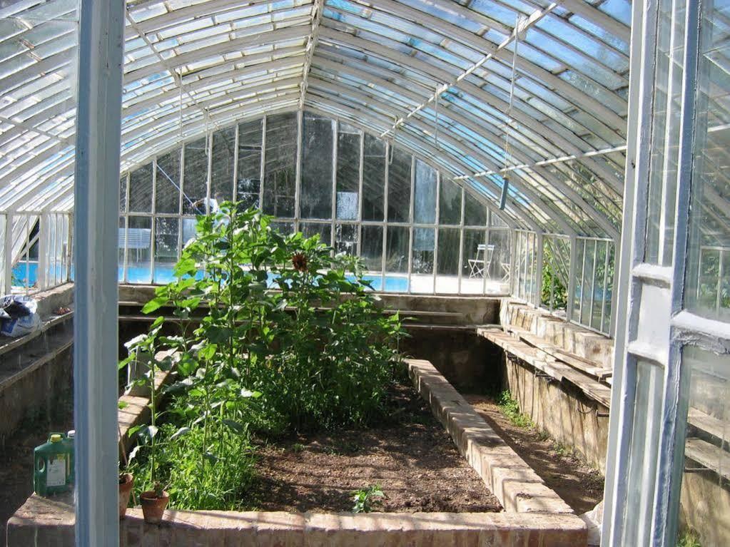 Bed & Breakfast Chateau De La Rue Cour-sur-Loire